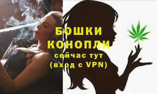 стаф Балахна