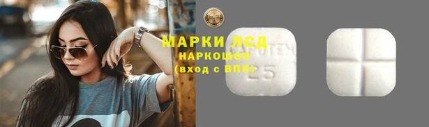 стаф Балахна