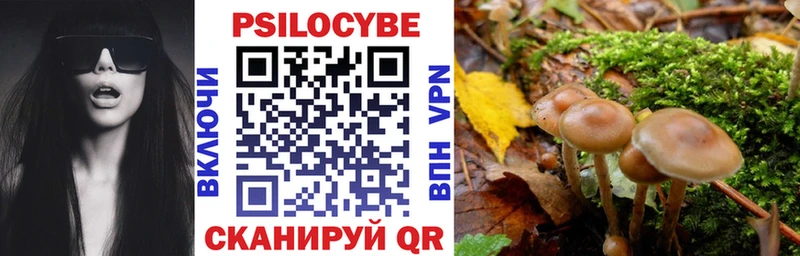 Псилоцибиновые грибы ЛСД Вяземский